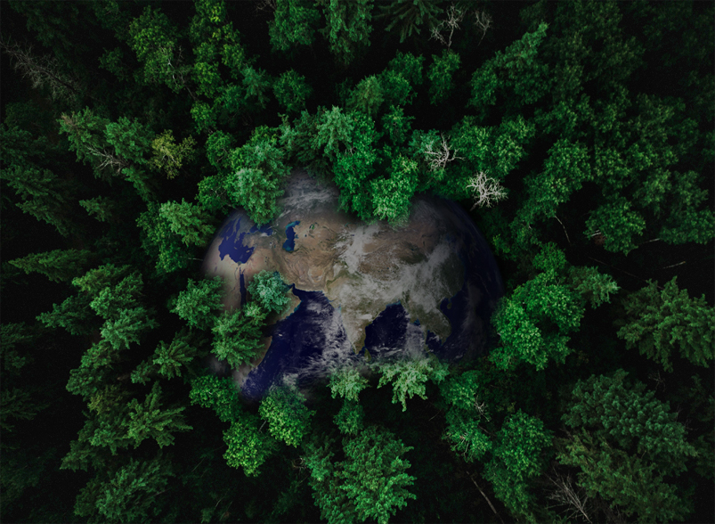 yth2206游艇会·(中国区)官方网站